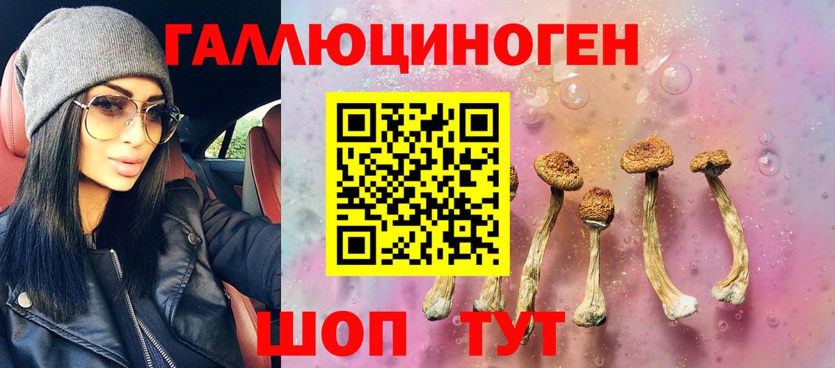 Галлюциногенные грибы Cubensis Лениногорск